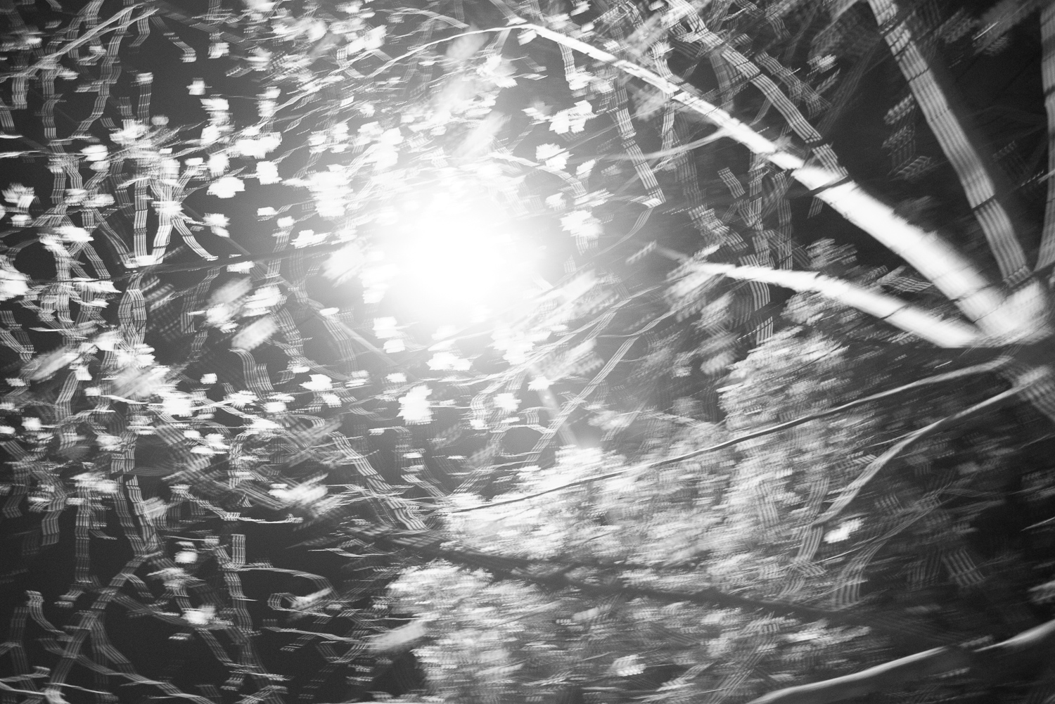 上海 2020 image 55